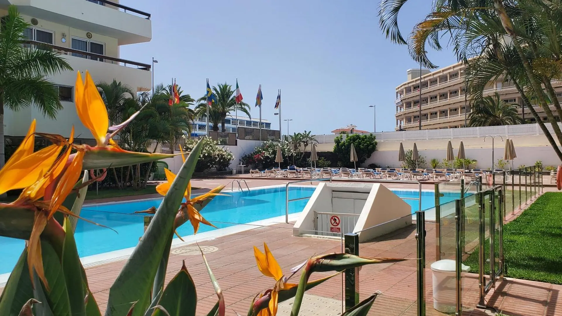 Las Camelias Apartments Ci04 Maspalomas