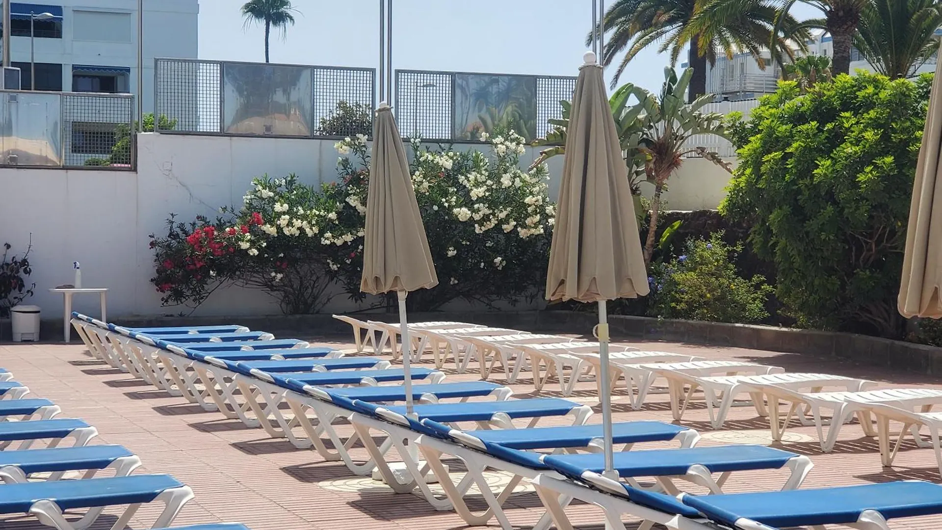 Las Camelias Apartments Ci04 Maspalomas  0*, Maspalomas (Gran Canaria) Spain